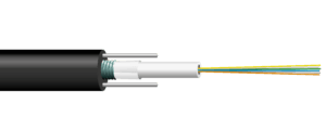 FYOVD2PMU