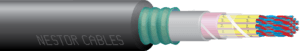 KJAAMVDM